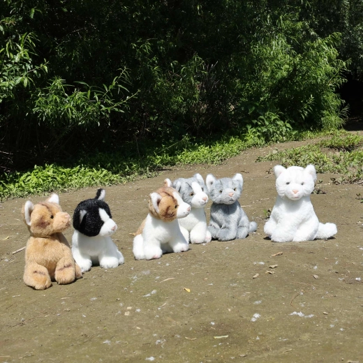 Sei bellissime varianti per tutti