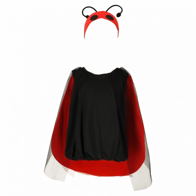 Costume di carnevale Coccinella