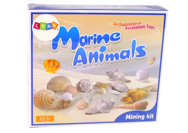 Kit di Scavo con Animali Marini Fossili