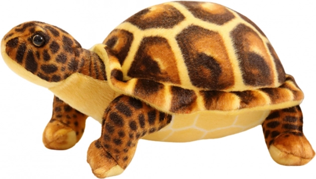 Tartaruga marrone in peluche 25 cm