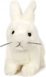 Coniglio di peluche bianco 15 cm