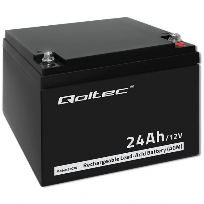 Batteria AGM da 12V 24Ah