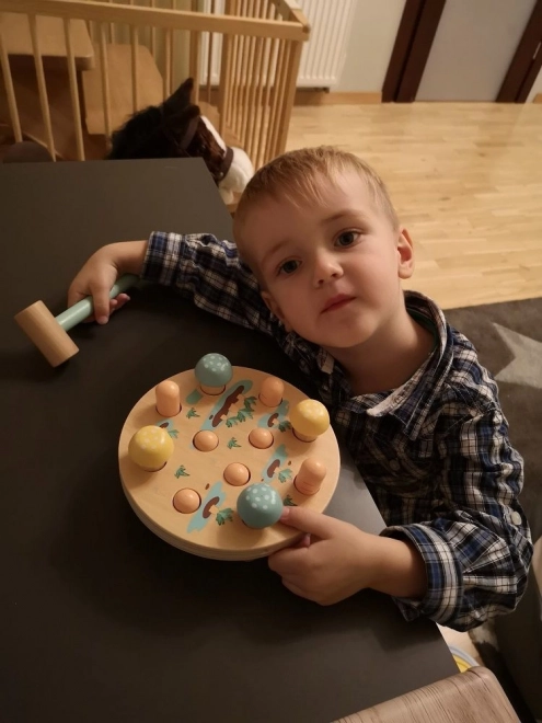 Gioco di Legno Carota Divertente