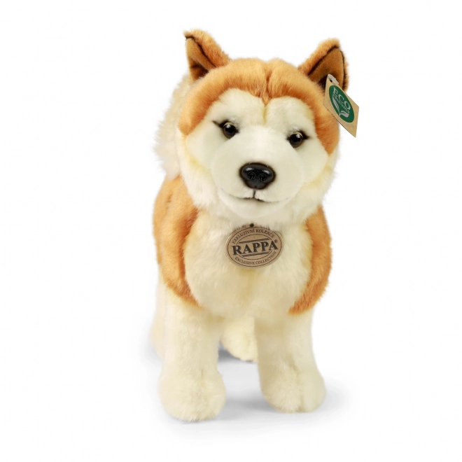 Cane di peluche Akita Inu 30 cm ecologico