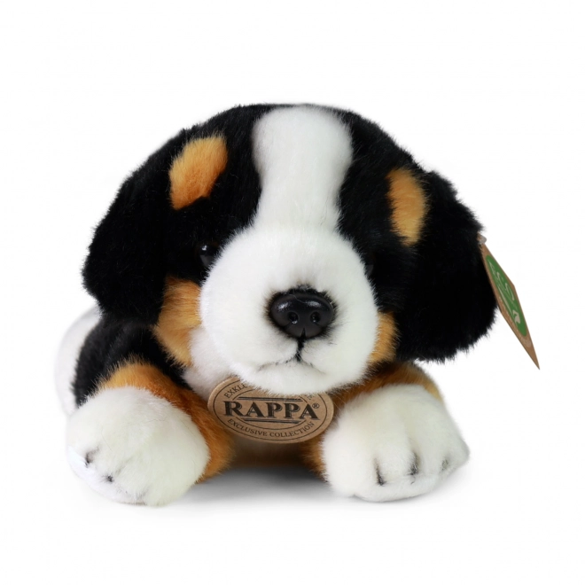 Bernese Mountain Dog giocattolo ecologico 20 cm