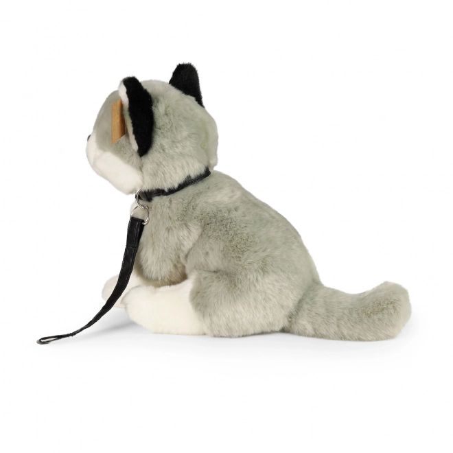 Cane Husky di Peluche con Guinzaglio 28 cm