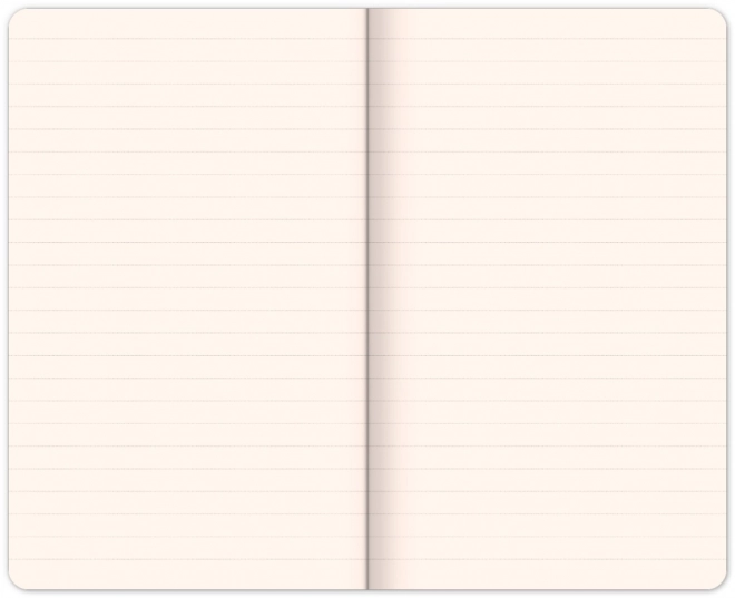 Block notes Mickey con righe