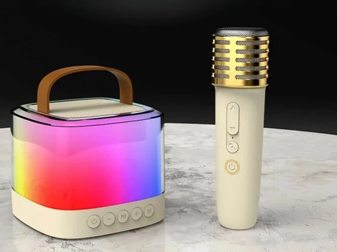 Casse Bluetooth portatile con 2 microfoni