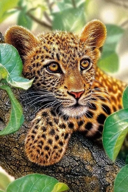 Pittura Diamante Leopardo 30x40cm