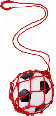 Allenatore di calcio