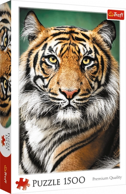 Puzzle Ritratto di Tigre 1500 pezzi