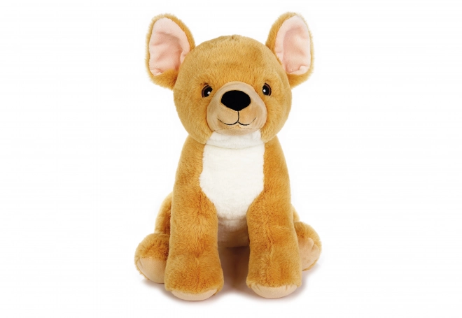 Peluche Chihuahua 29 cm Eco Play