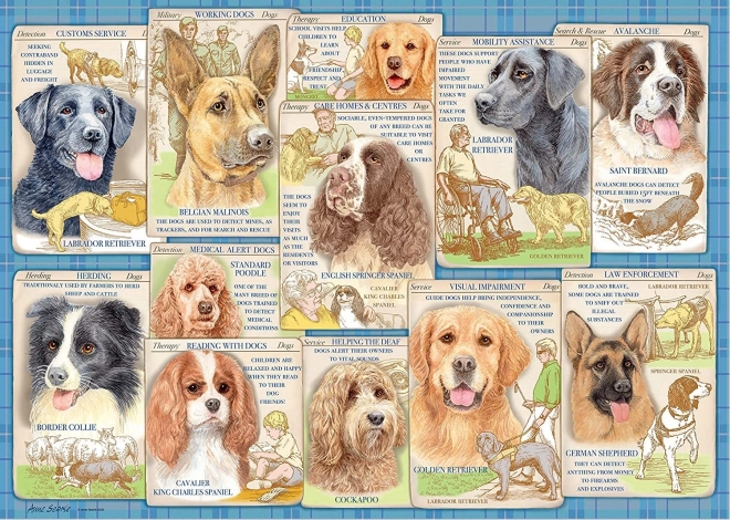 Puzzle cani obbedienti 1000 pezzi