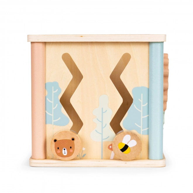 Cubo educativo in legno Ecotoys