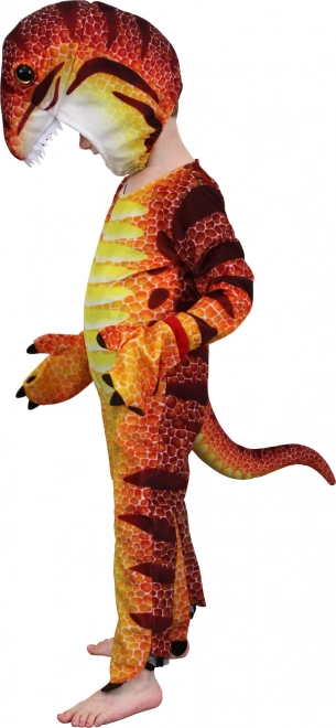 Costume Dinosauro Small Foot