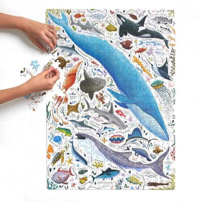 Puzzle Puzzlove Pesci e animali acquatici 500 pezzi