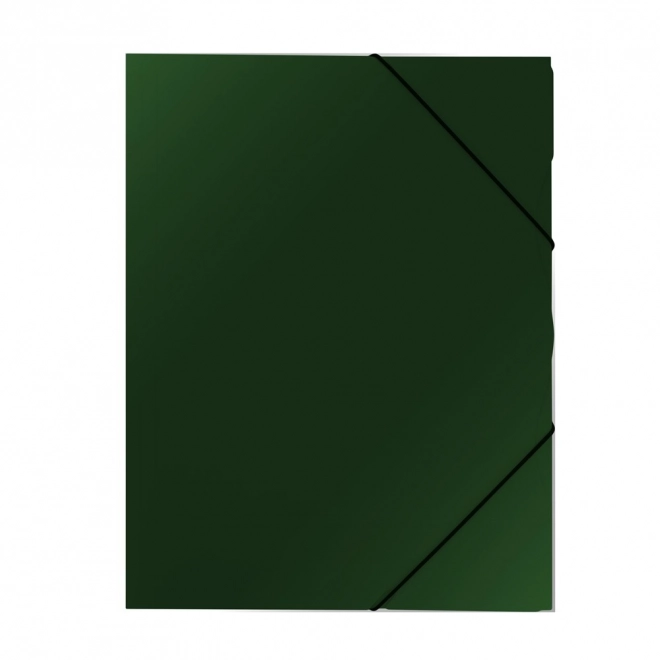 Cartellina elastica A4 verde classica