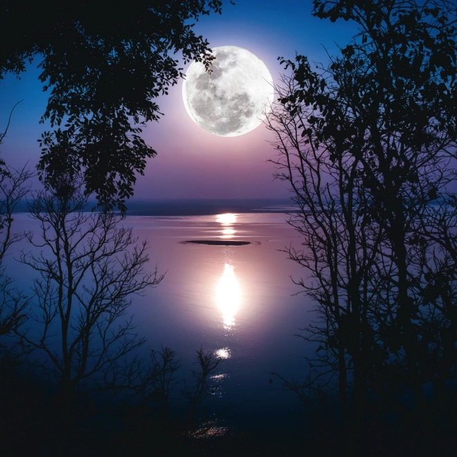 Calendario delle note Luna 2026