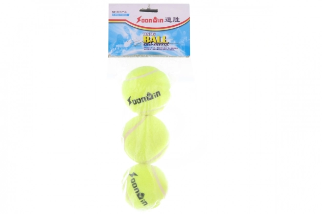 Set di 3 Palline da Tennis