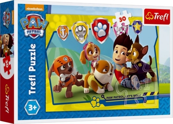 Puzzle PAW Patrol Ryder e amici 30 pezzi