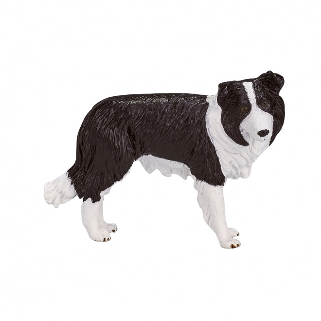 Figura realistica di Border Collie Mojo