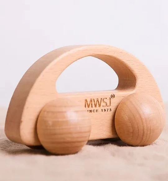 Giocattolo in legno Auto da cattura IWOOD