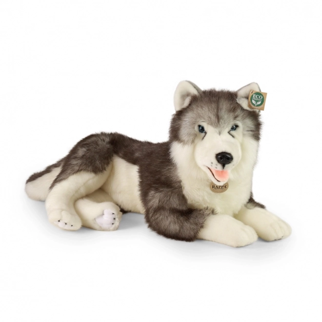 Peluches husky sdraiato eco-friendly 60 cm