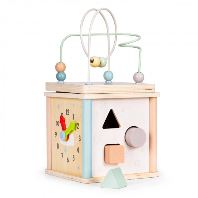 Cubo educativo in legno Ecotoys