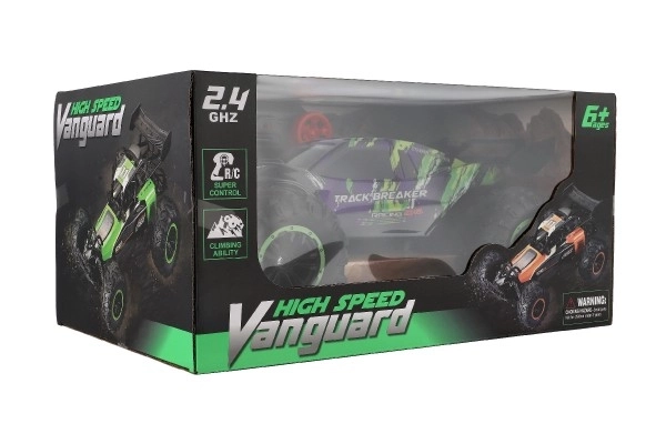 Auto Rc Buggy Veloce 2,4 GHz Plastico 40cm Ricaricabile Viola