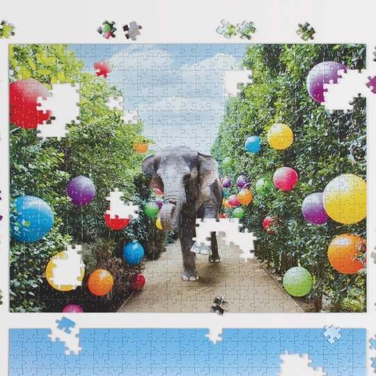 Puzzle bifacciale V Parco Gray Malin 500 pezzi