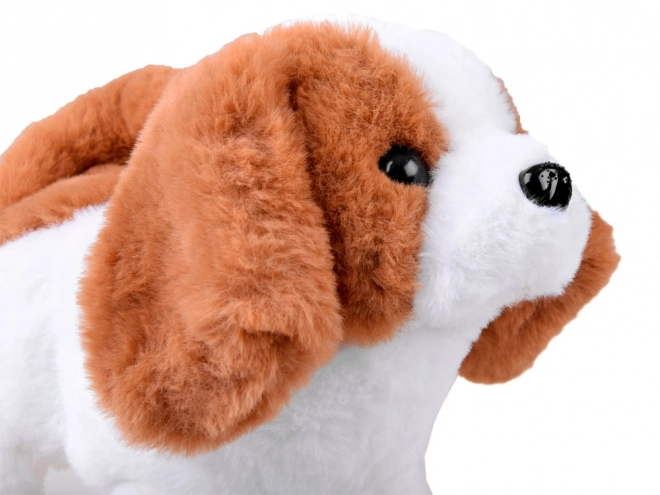 Cucciolo interattivo con carico e accessori