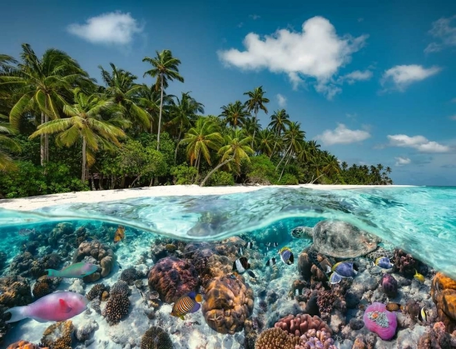 Puzzle immersioni alle Maldive da 2000 pezzi