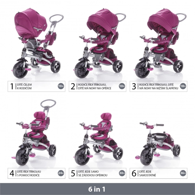 Triciclo per bambini Pearl Grey