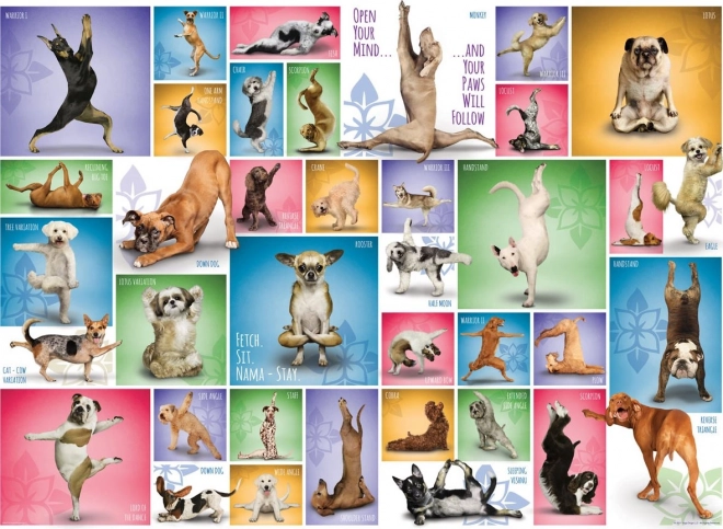 Puzzle Yoga dei cani 1000 pezzi