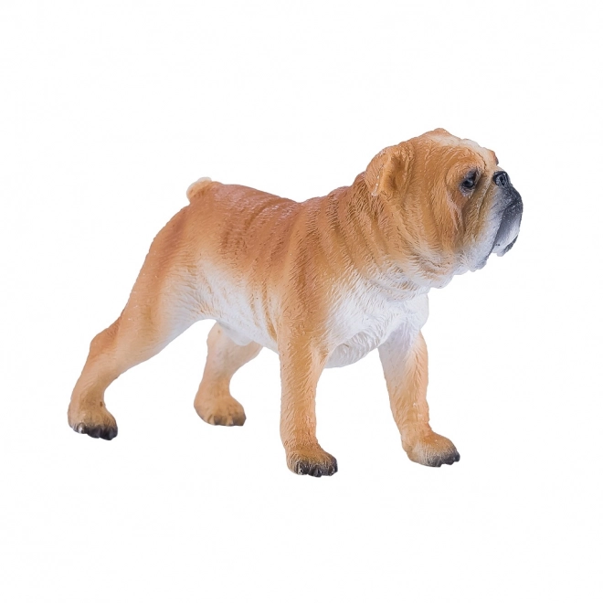 Figura Bulldog Inglese Realistica