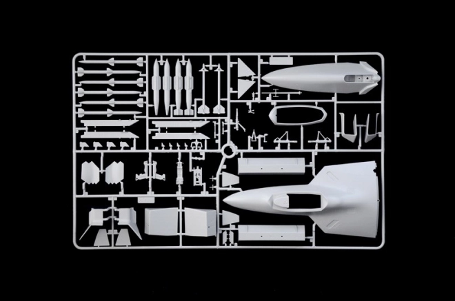 Modello in plastica Lockheed Martin F-22A Raptor