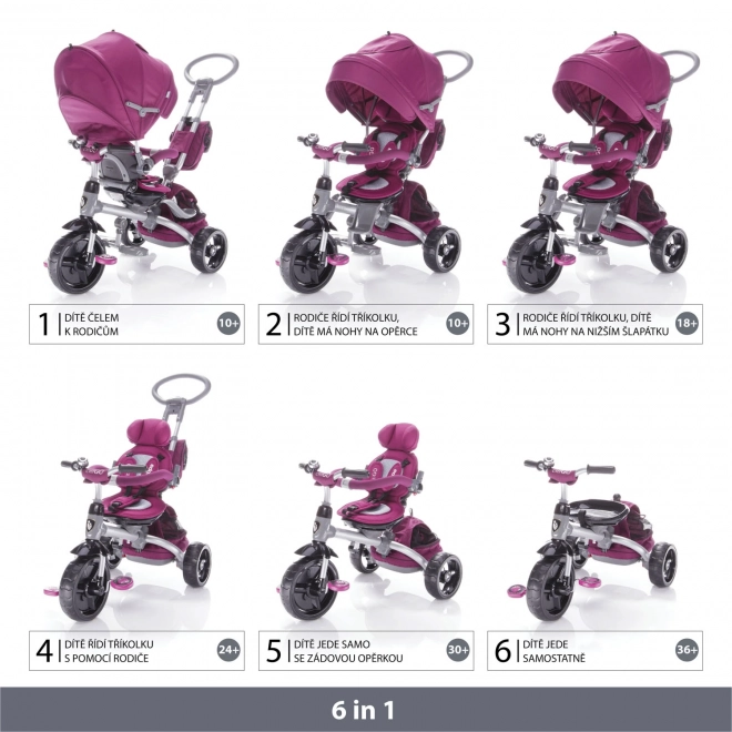 Triciclo CitiGo Mulberry Rosa