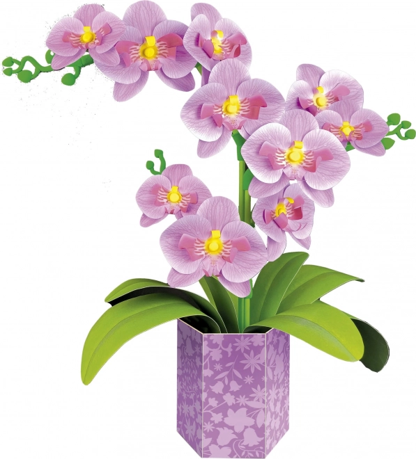Puzzle 3D Educa - orchidea