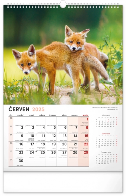 Calendario da parete 2025 cacciatore e natura ceca