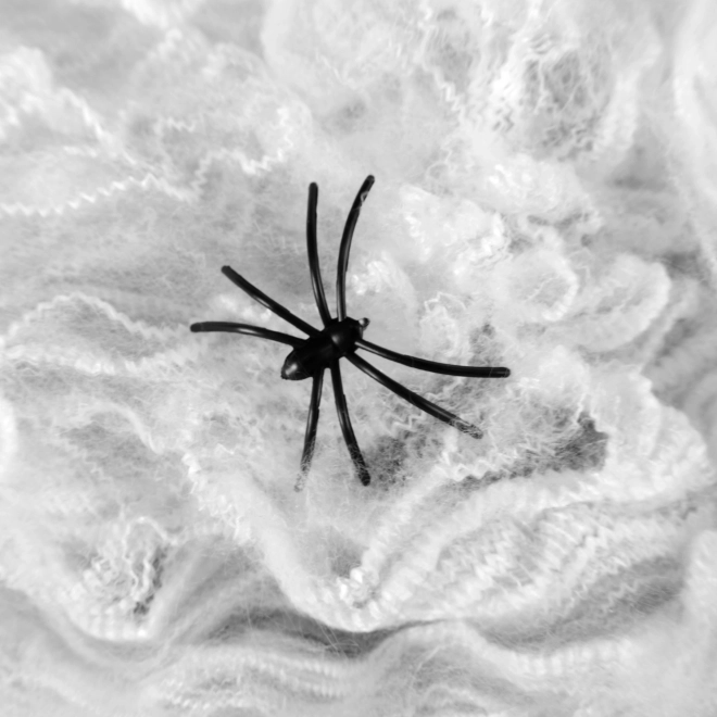 Decorazione Ragnatela con Ragni