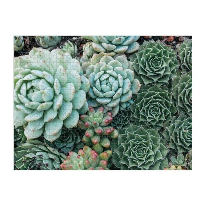 Puzzle Doppio Lato Succulenti 500 Pezzi