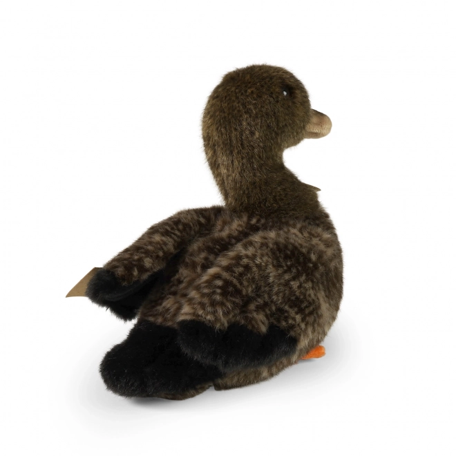 Anatra di peluche eco-compatibile