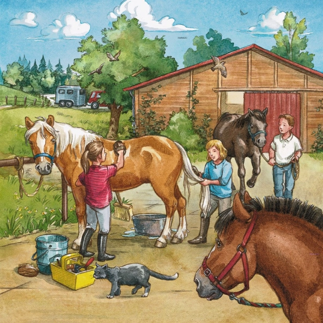Tre storie equestri in un’unica confezione