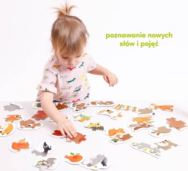 Puzzle progressivi - Animali nella foresta