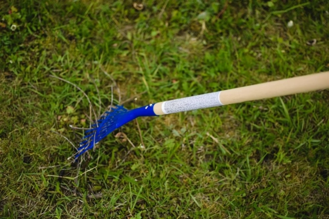 Forma a ventaglio per foglie e aghi di conifere