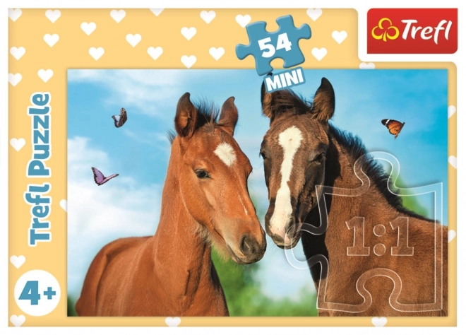 Puzzle Animali Carini: Coppia di Cavalli 54 Pezzi