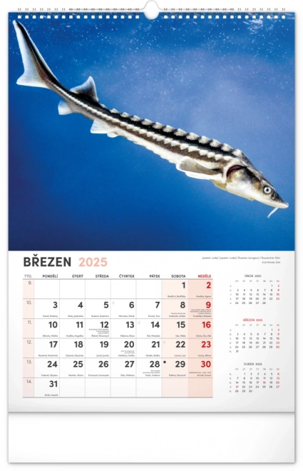 Calendario da Parete da Pesca 2025