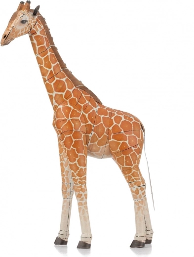 Strumenti non inclusi