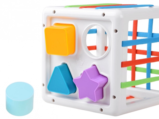 Cubo Ordinatore Giocattolo Educativo per Bambini