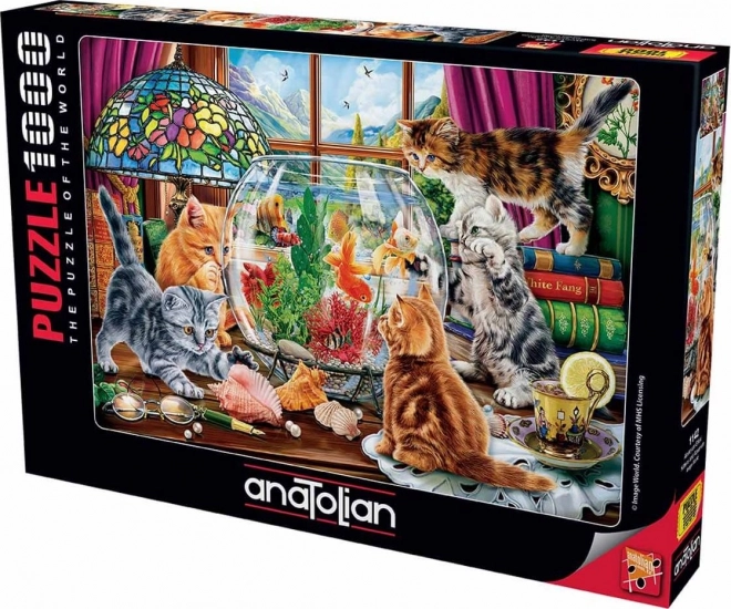 Puzzle Gattini e Acquario 1000 Pezzi